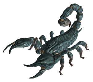 Scorpion PNG-12125